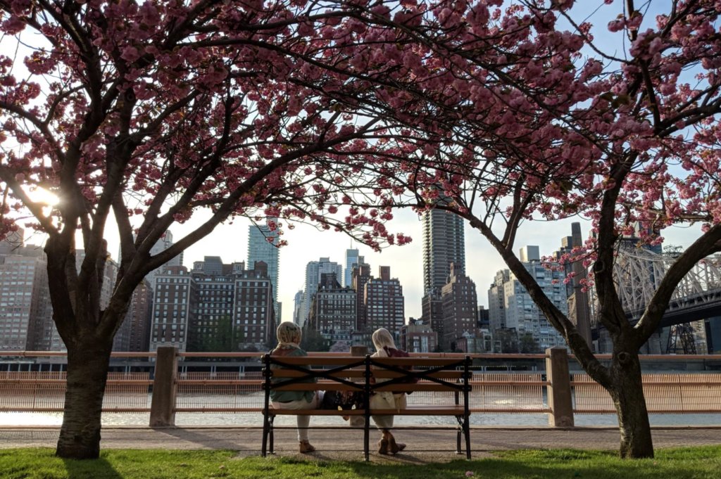 Парк «Четыре свободы» Four Freedoms Park